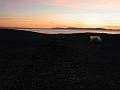 Wales-Nome 192